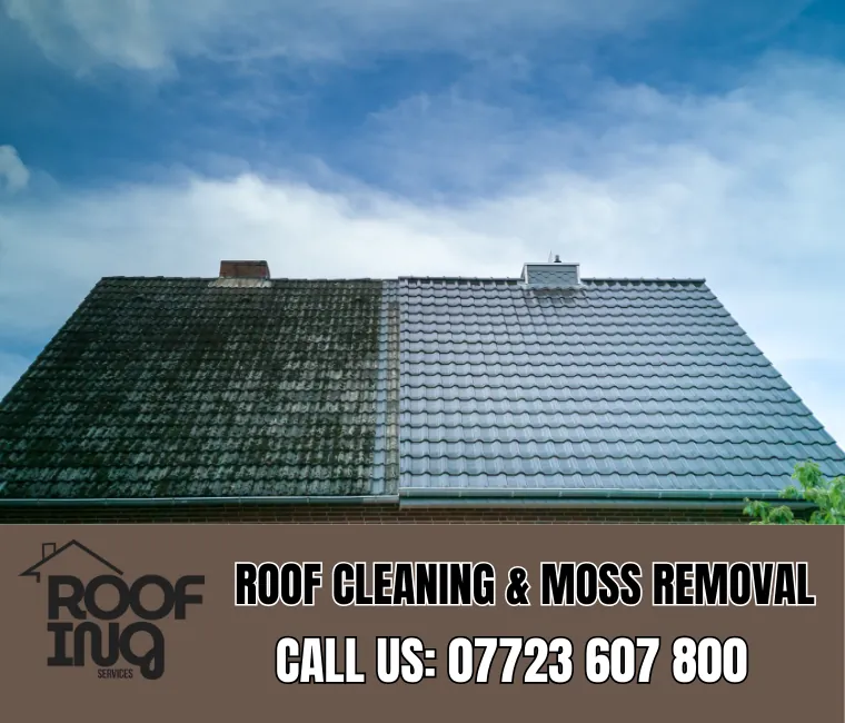 Roof cleaning and moss removal in Polperro